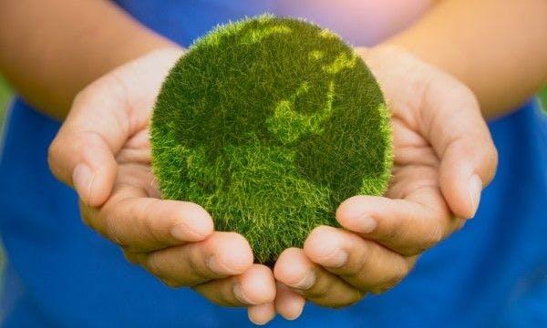 Image of a person holding a small globe as a symbol of environmental sustainability thanks to biodigesters.